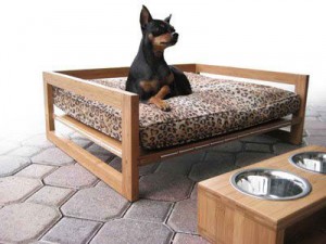 axi axi 300x225 Complementos para perros